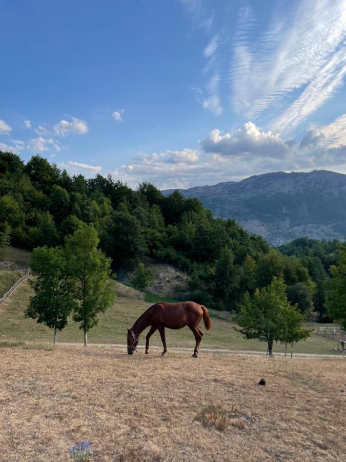 Etno Village Vojnik Savnik Exterior foto