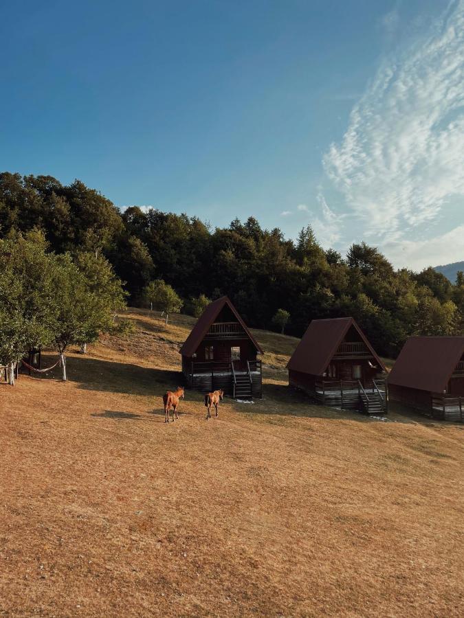 Etno Village Vojnik Savnik Exterior foto