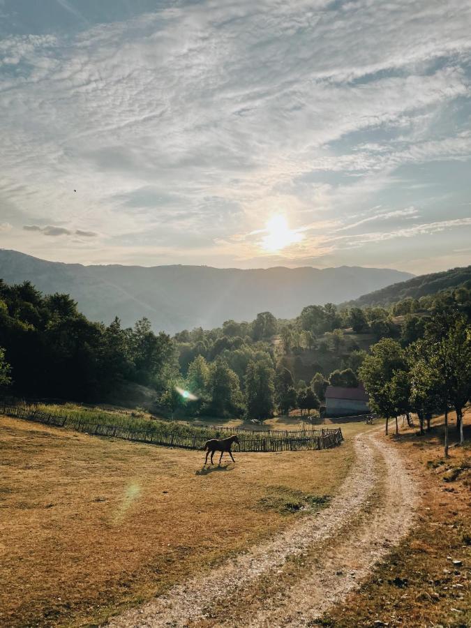 Etno Village Vojnik Savnik Exterior foto