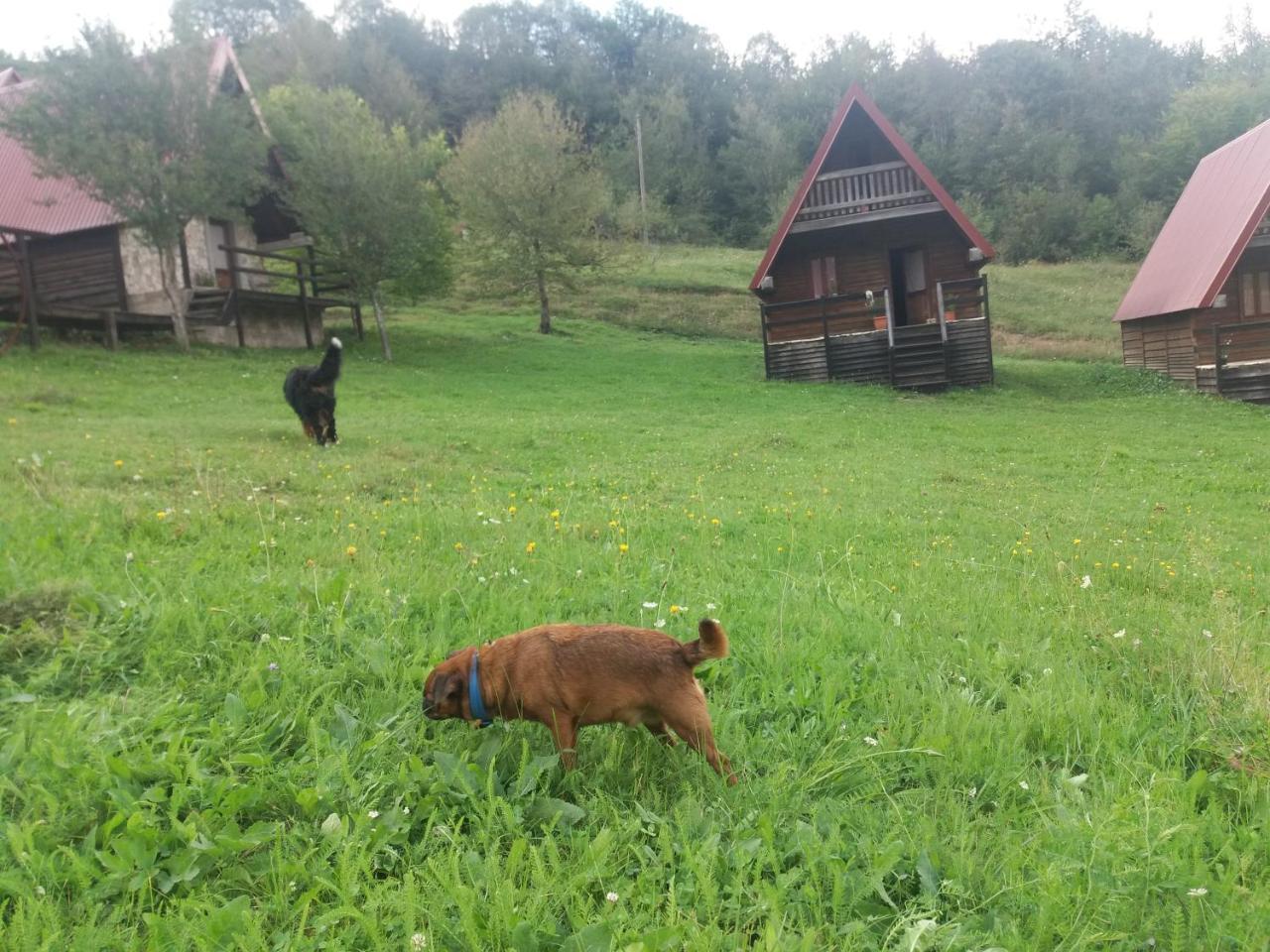 Etno Village Vojnik Savnik Exterior foto