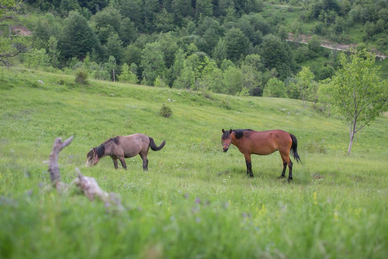 Etno Village Vojnik Savnik Exterior foto